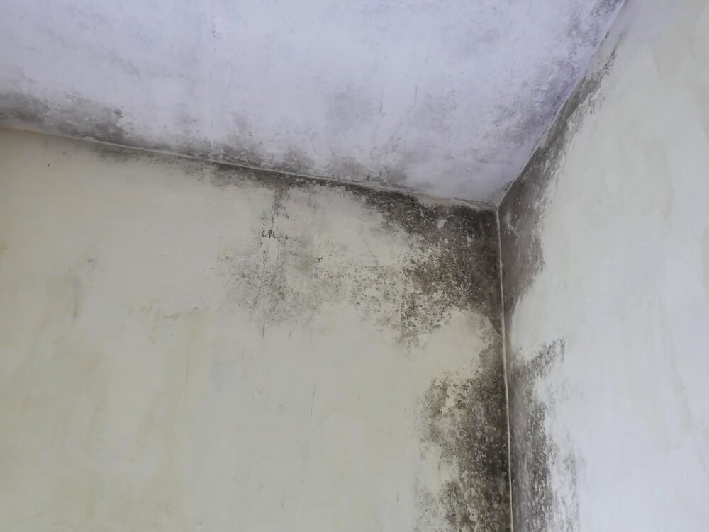 Como detetar fugas de água em paredes