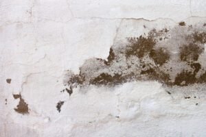 Como isolar uma parede exterior da humidade 5 melhores opções